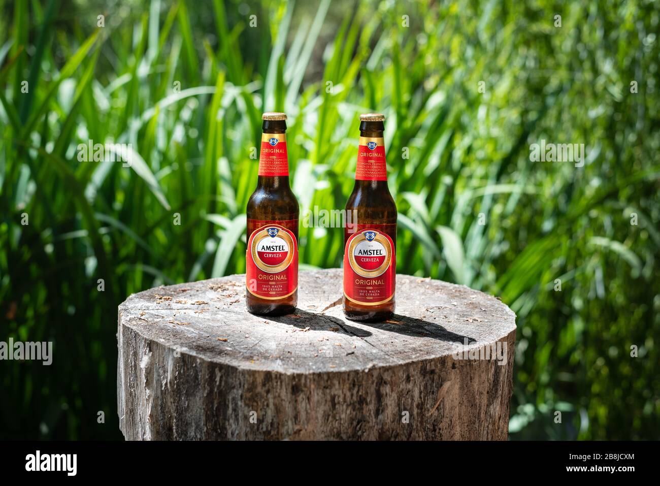 Two cold bottles of original Amstel beer on a wooden log and a green background Stock Photo