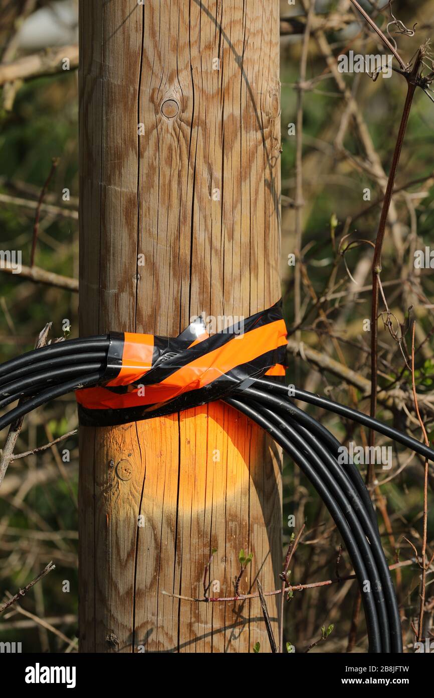 Cable harness telecommunications Stock Photo - Alamy