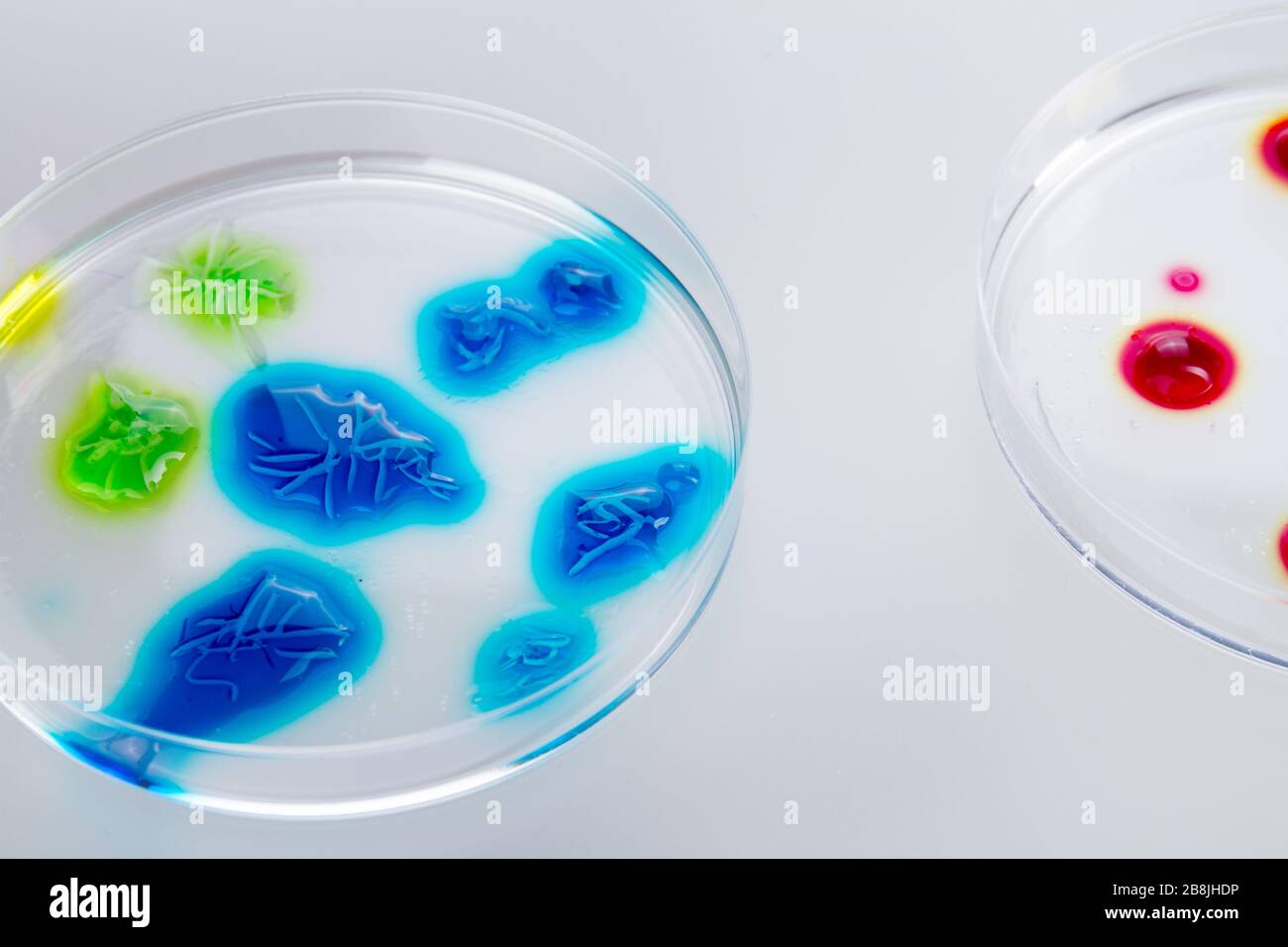 Colorful liquid drops in petri dishes Stock Photo Alamy