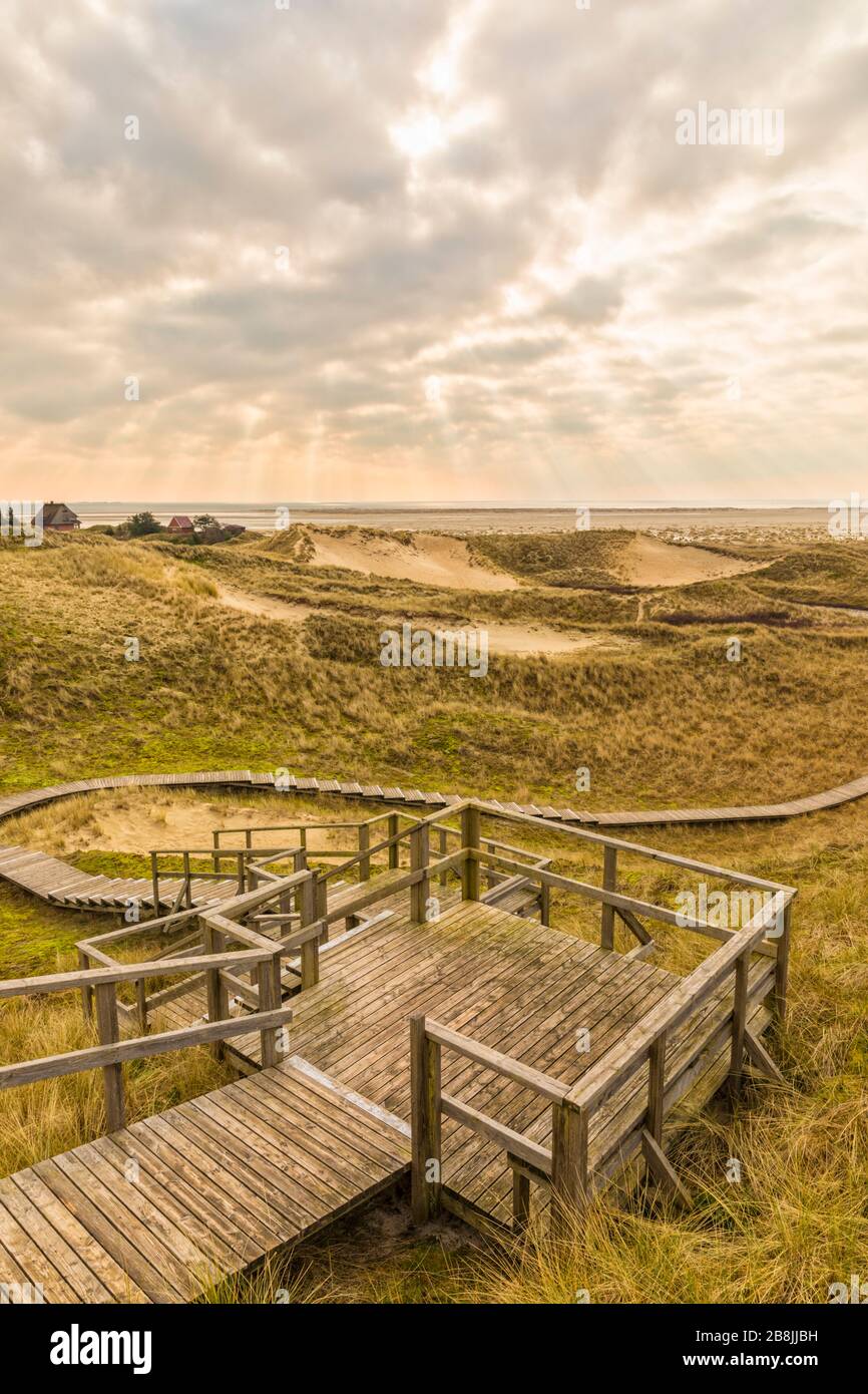 Wooden stairway and path to the beach through the dunes of German North ...