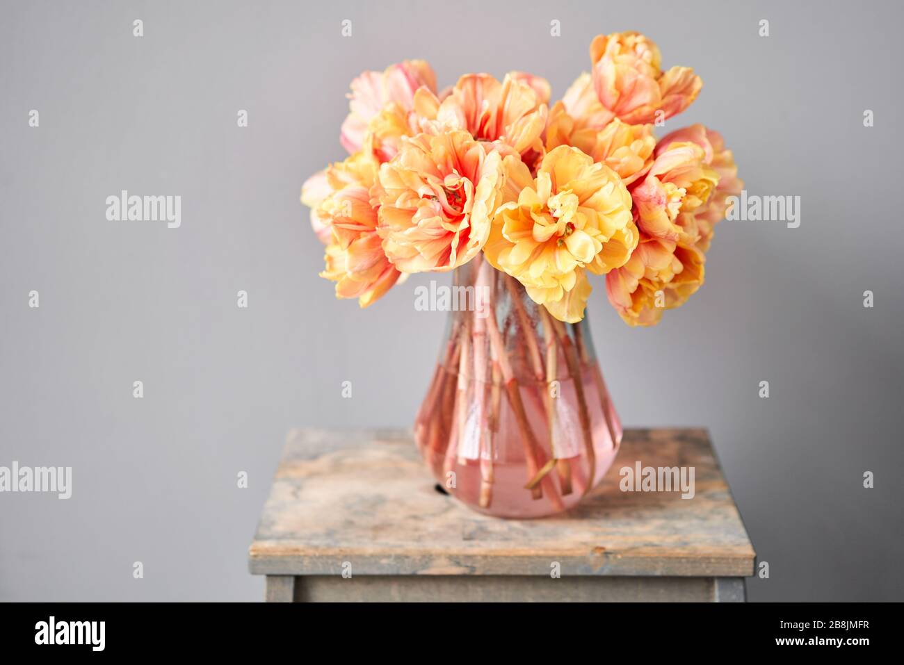 Beautiful orange and with red streaks tulips in vase. Flower background