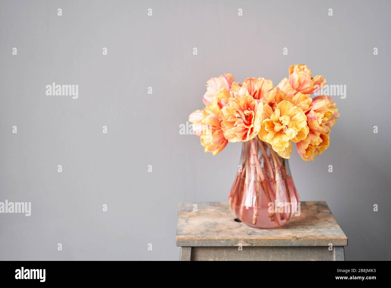 Beautiful orange and with red streaks tulips in vase. Flower background