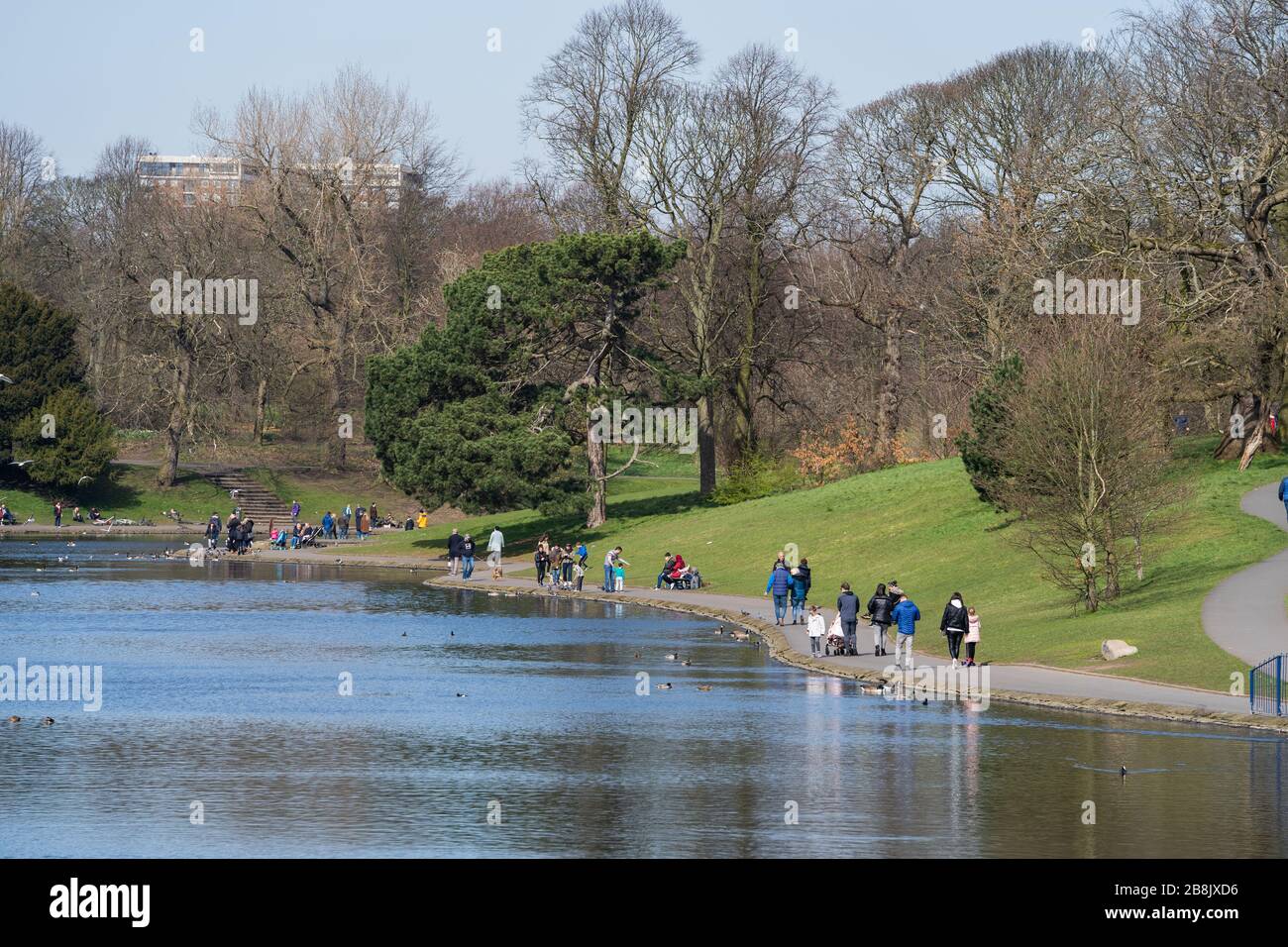 Sefton Park, Liverpool, UK. March 22, 2020. Many people out enjoying a walk in Sefton Park, Liverpool in north-west England, despite the UK government advising people to begin social distancing, and reduce social interaction, to try and reduce the transmission of Coronavirus. Credit: Christopher Middleton/Alamy Live News Stock Photo