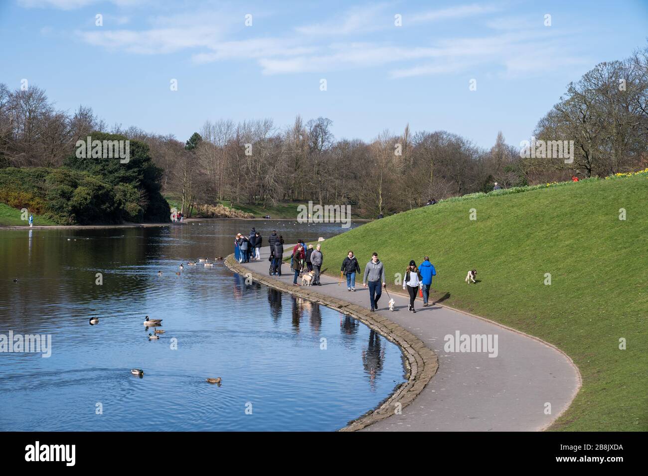 Sefton Park, Liverpool, UK. March 22, 2020. Many people out enjoying a walk in Sefton Park, Liverpool in north-west England, despite the UK government advising people to begin social distancing, and reduce social interaction, to try and reduce the transmission of Coronavirus. Credit: Christopher Middleton/Alamy Live News Stock Photo