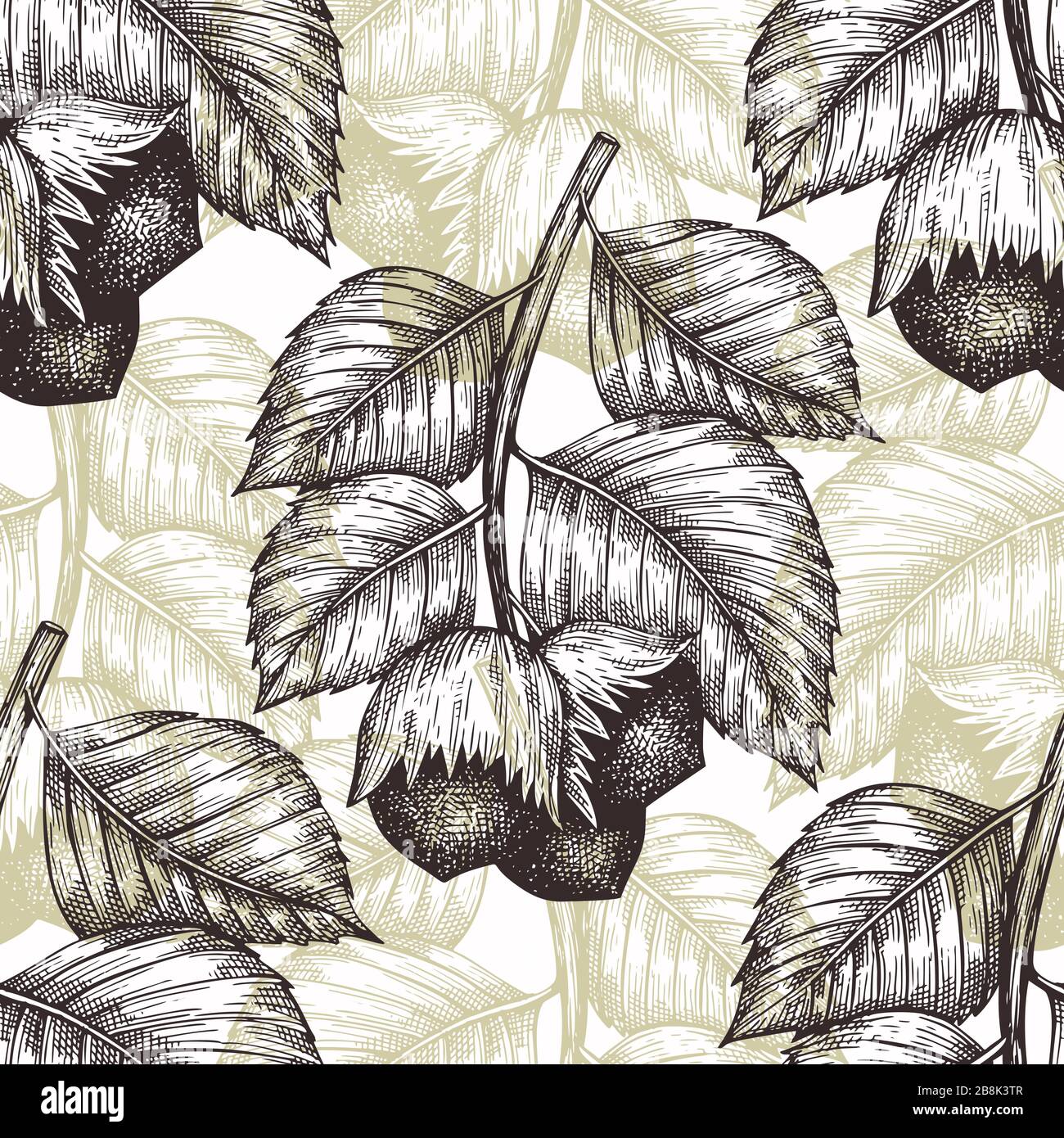 Hand drawn sketch hazelnut seamless pattern. Organic food vector ...