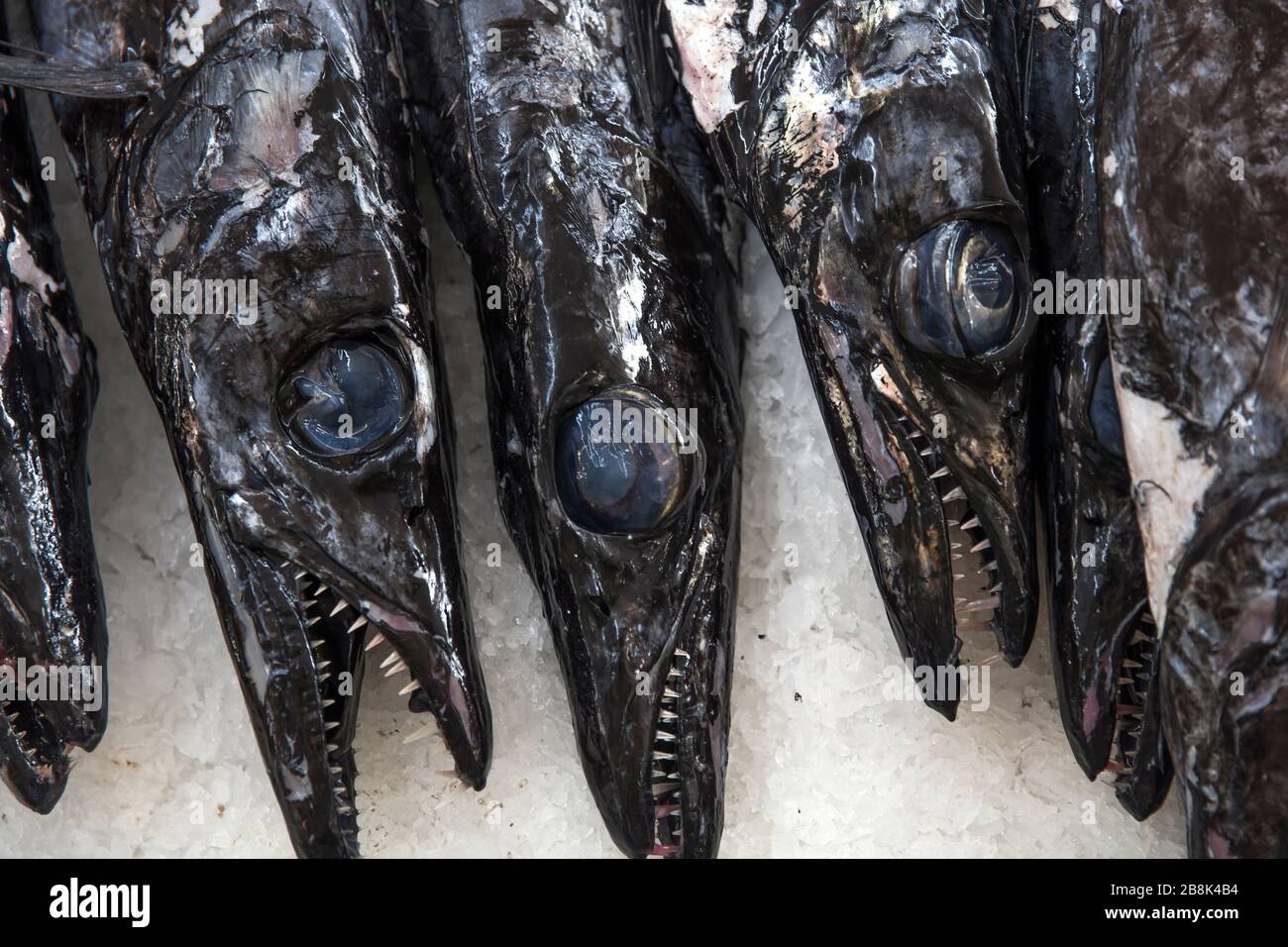 Fresh espada fish on traditional fish market in Funchal at Madeira island, Portugal Stock Photo
