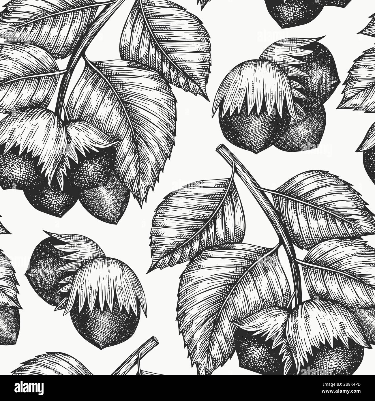 Hand drawn sketch hazelnut seamless pattern. Organic food vector ...