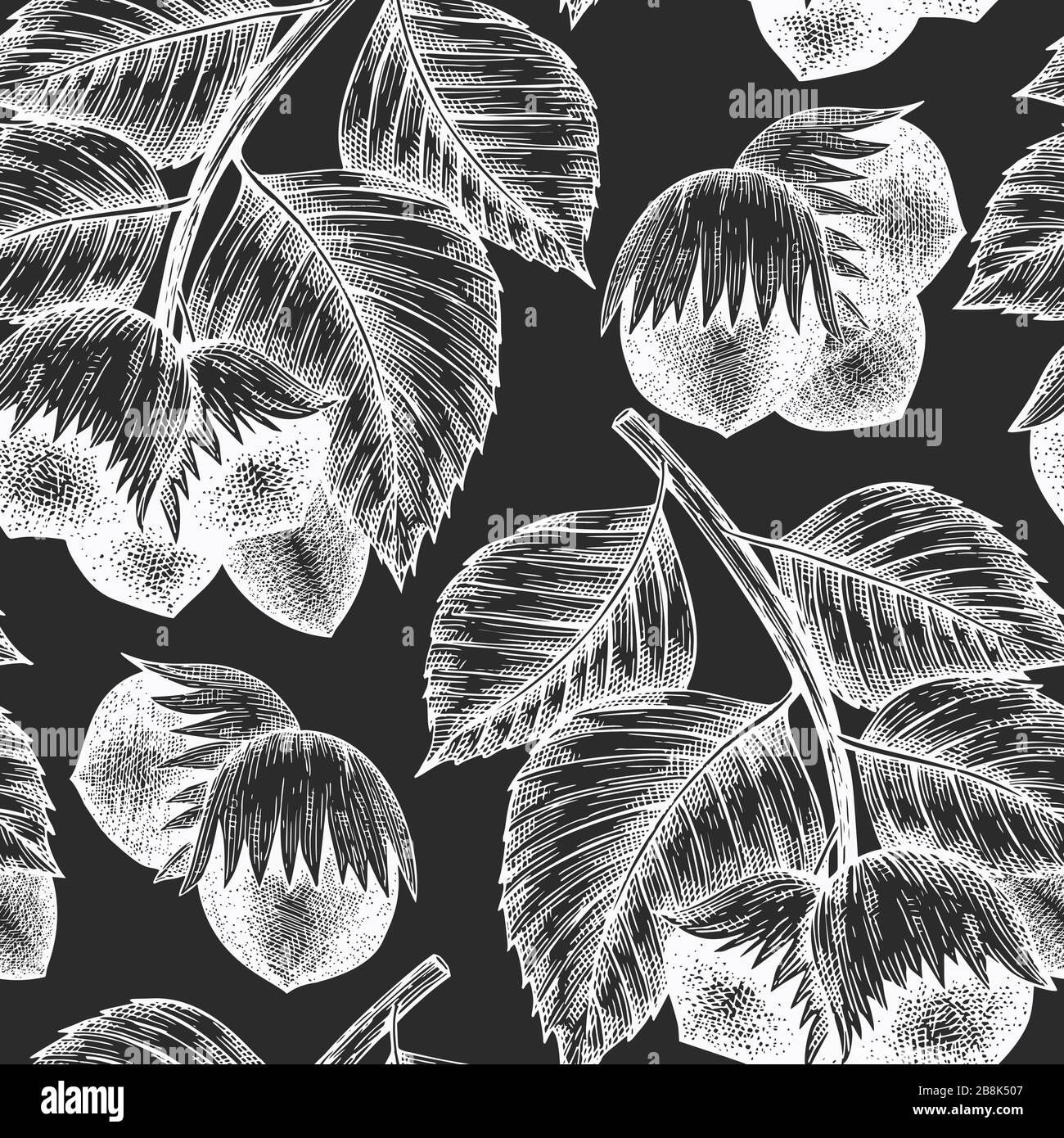 Hand drawn sketch hazelnut seamless pattern. Organic food vector ...