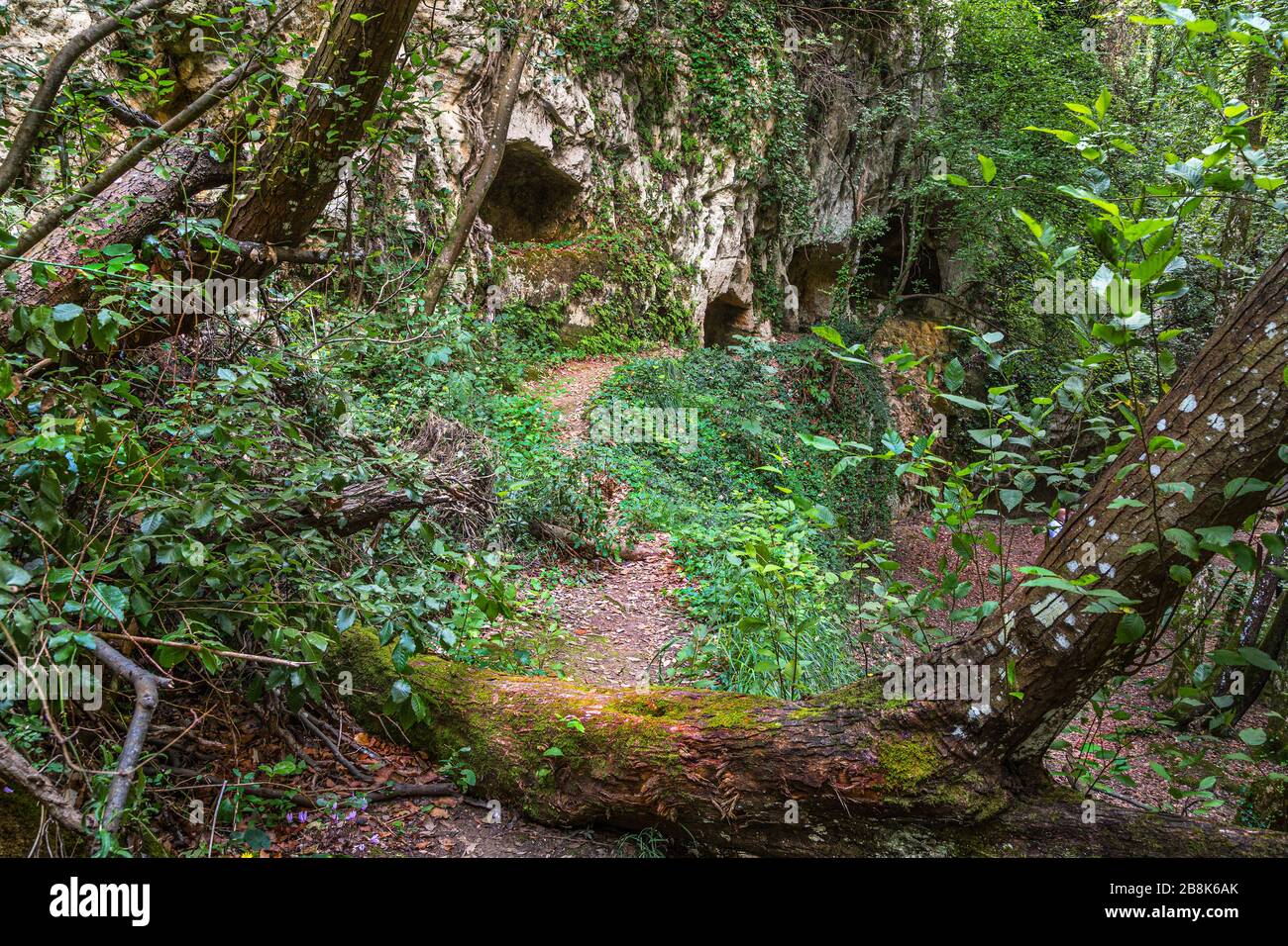 medieval rock tombs in Alento Valley Stock Photo