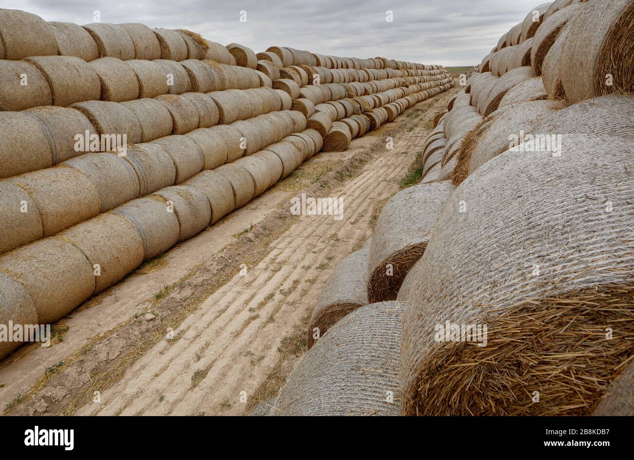 hay bales in the farm Stock Photo Alamy
