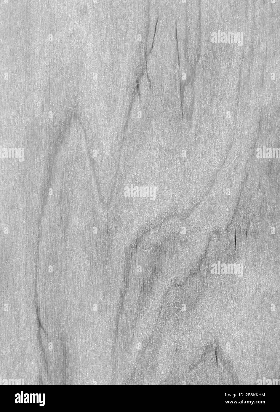 Abstract monochrome wooden background. Black and white varnished wood texture in grunge style. Close-up, top view, natural material of gray color. Stock Photo