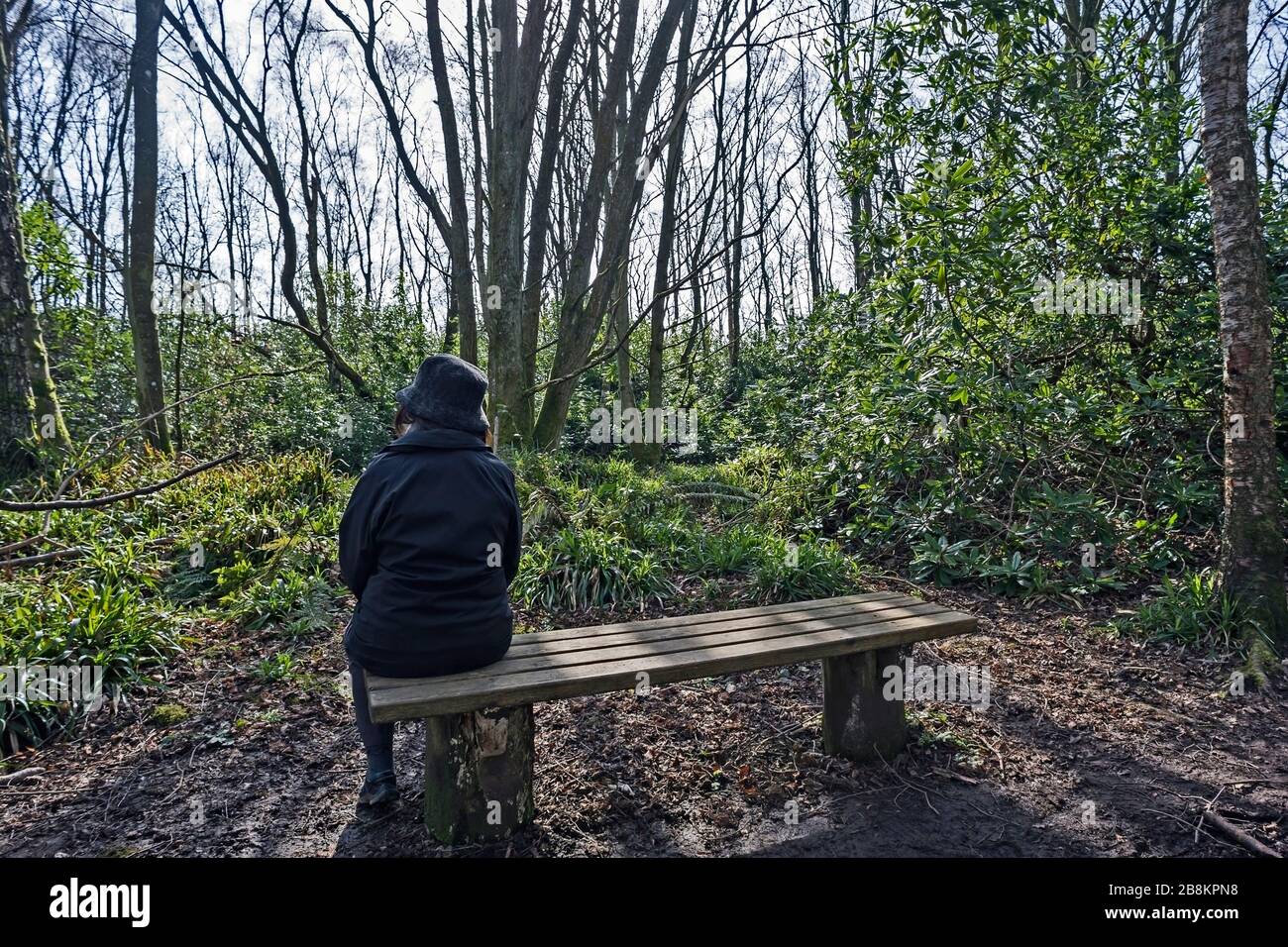 Rear view, elderly woman, dark clothes sitting alone on bench by forest path. Concept, loneliness, thoughtfulness, isolation, contemplation, nostalgia Stock Photo