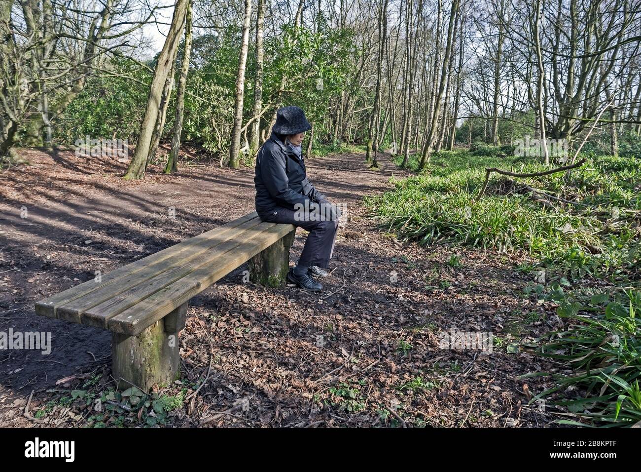 Side view, elderly woman, dark clothes sitting alone on bench by forest path. Concept, loneliness, thoughtfulness, isolation, contemplation, nostalgia. Stock Photo