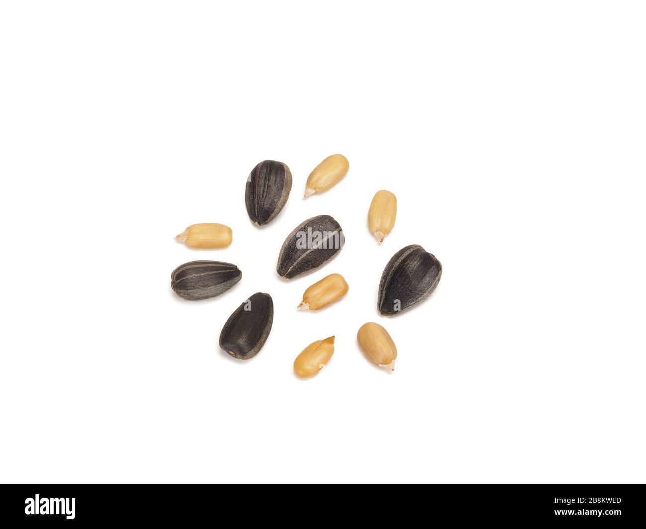 Black sunflower fried seeds peeled and unpeeled Stock Photo - Alamy
