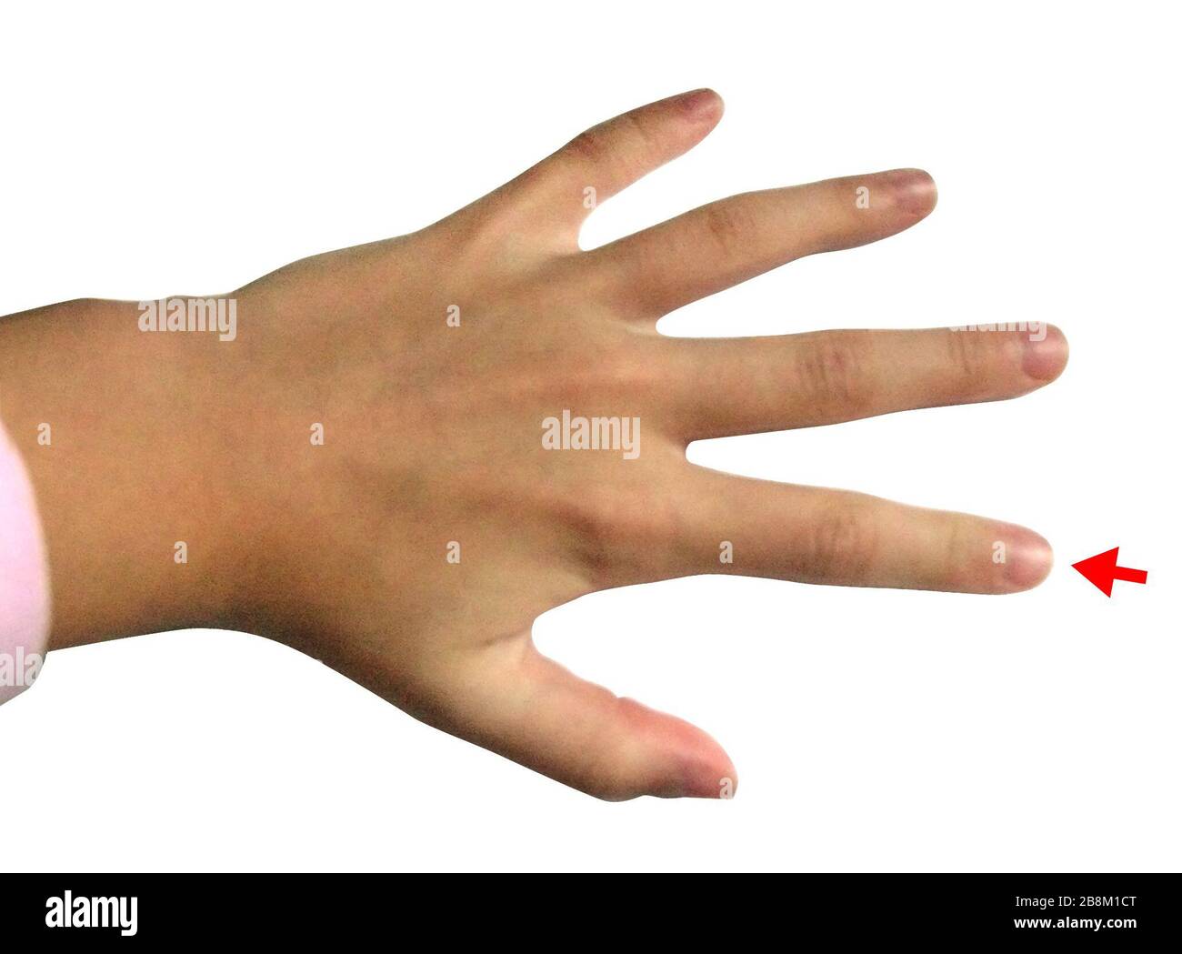 16 08 02 High Resolution Stock Photography And Images Alamy