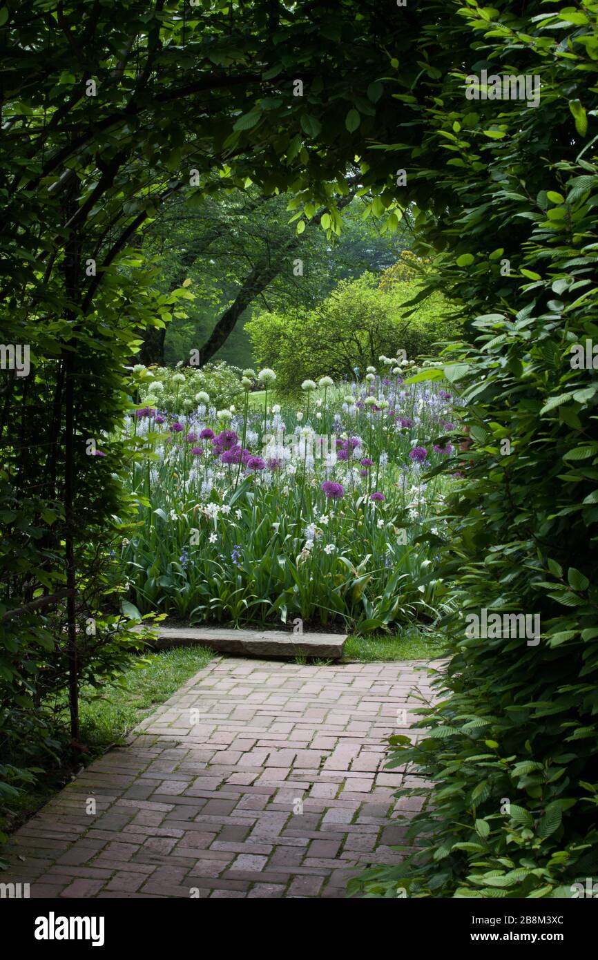 Down the Garden Path Stock Photo Alamy