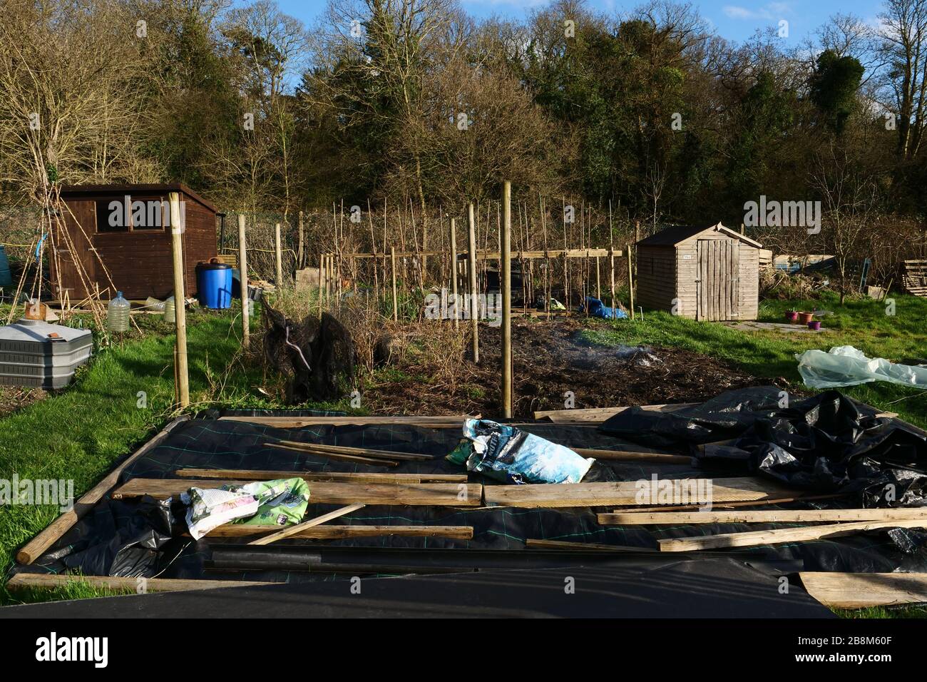 General view of allotment in London in the early March winter. Stock Photo