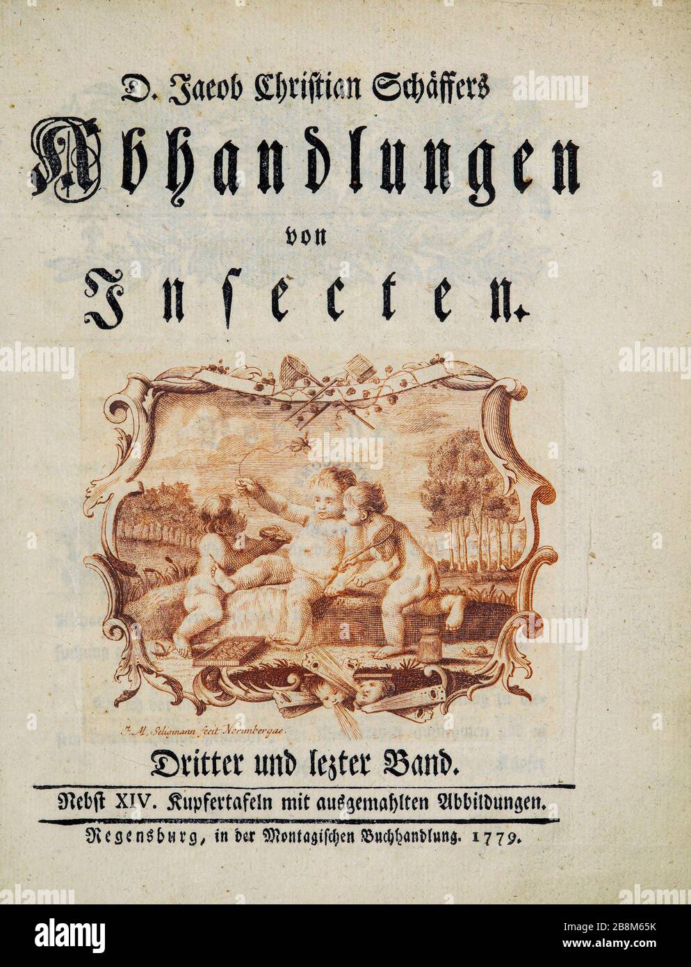 Title Page of an 18th century Entomology study from D. Jacob Christian Schaffers Abhandlungen von Insecten (Treatises on insects) published in 1764 by Schäffer, Jacob Christian, 1718-1790 Second addition Printed in Germany in 1797 Stock Photo