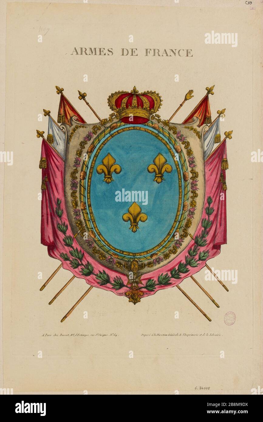 Arms of France. (TI) Stock Photo