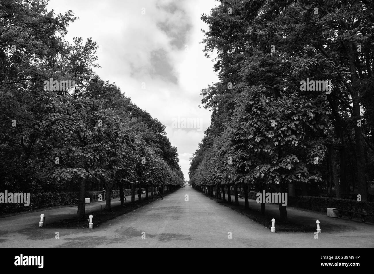 Spiral hedge Black and White Stock Photos & Images - Alamy