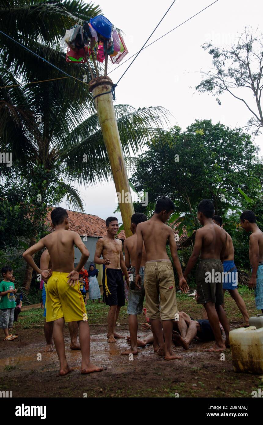 unique tradition, banana tree climbing Stock Photo Alamy