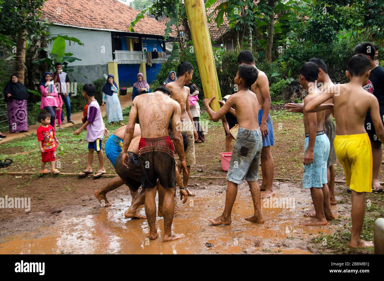unique tradition, banana tree climbing Stock Photo Alamy