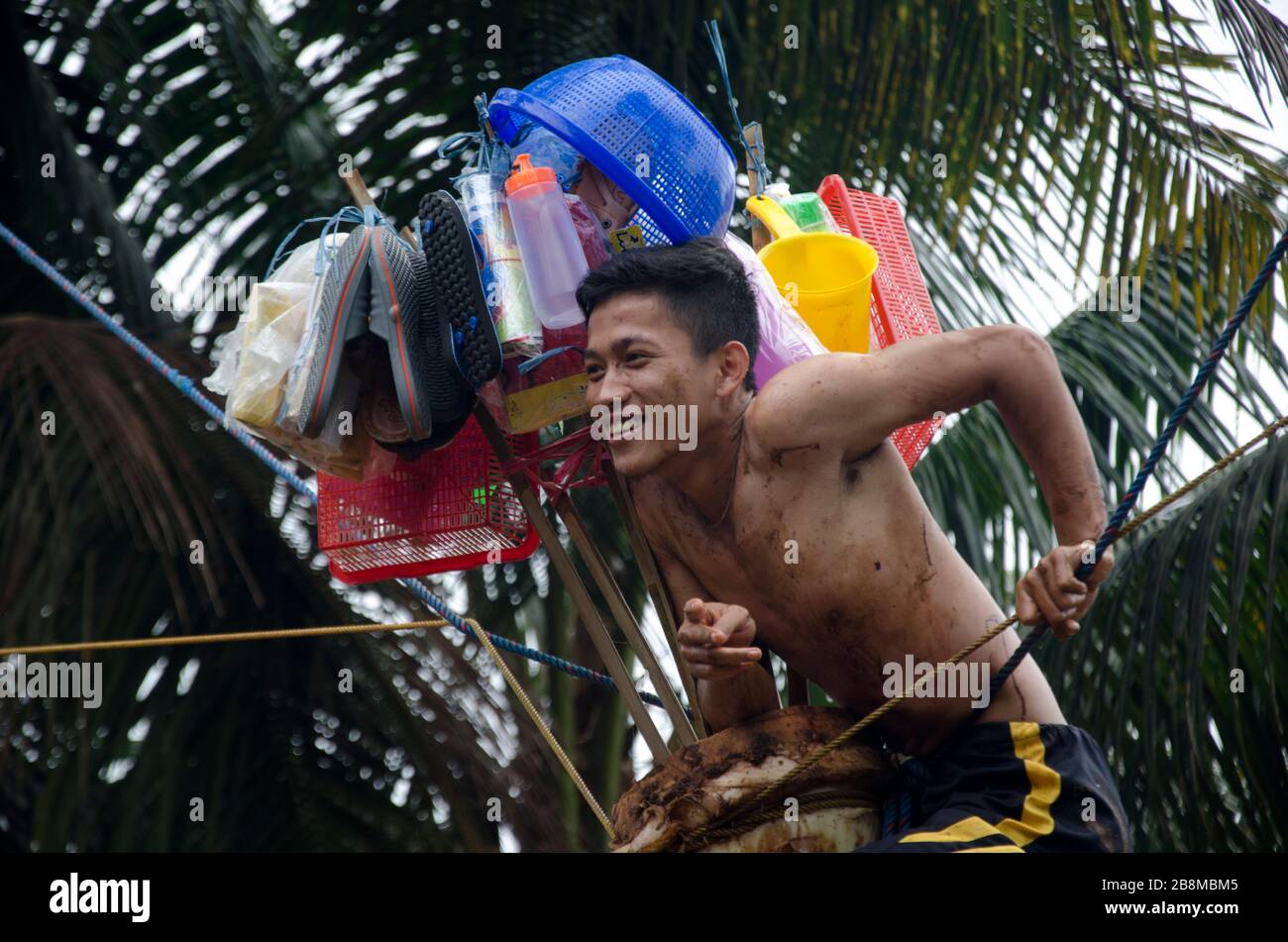 unique tradition, banana tree climbing Stock Photo Alamy
