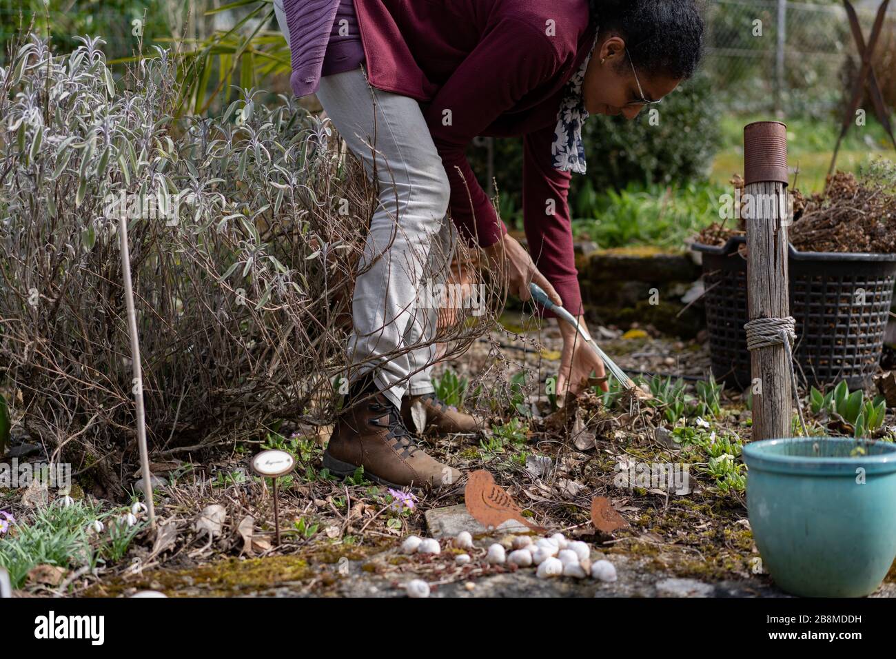 Young woman stooping and raking leaves in flowerbed with handmade stone mounds in spring. Freshen up the garden. Side view. Stock Photo