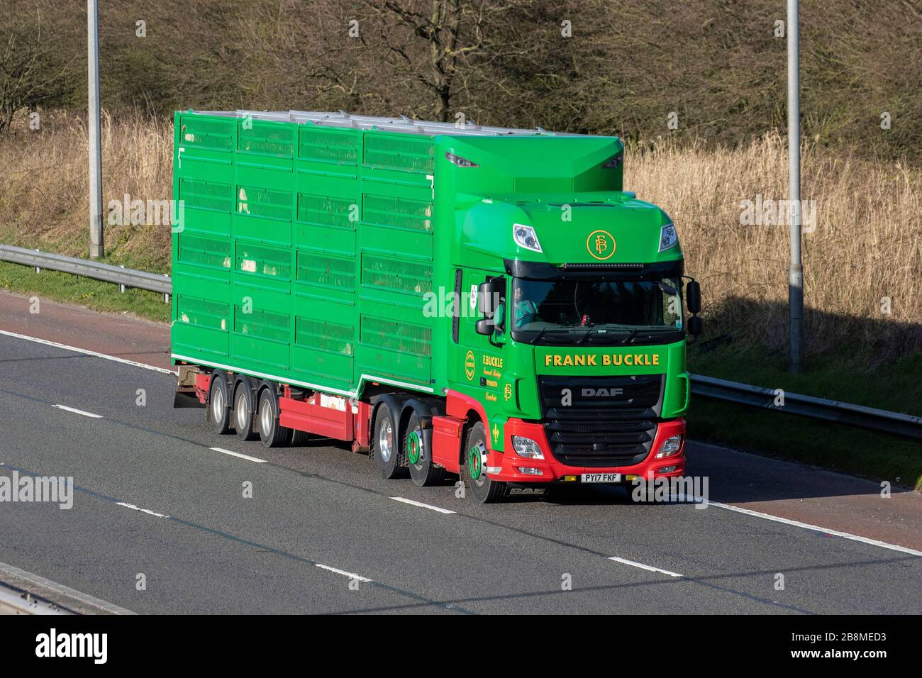 Frank Buckle Haulage delivery trucks, green lorry, transportation, truck, cargo carrier, DAF vehicle, European commercial transport, industry, M61 at Manchester, UK Stock Photo