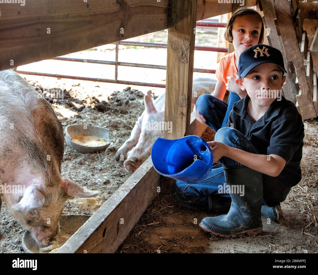 Boy and Girl doing Farm Chores Stock Photo