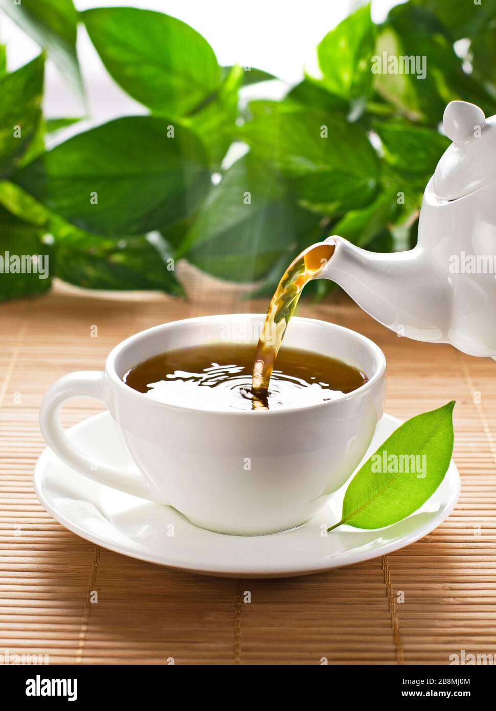 Teapot pouring fresh hot tea in to Cup, on garden background. The Time
