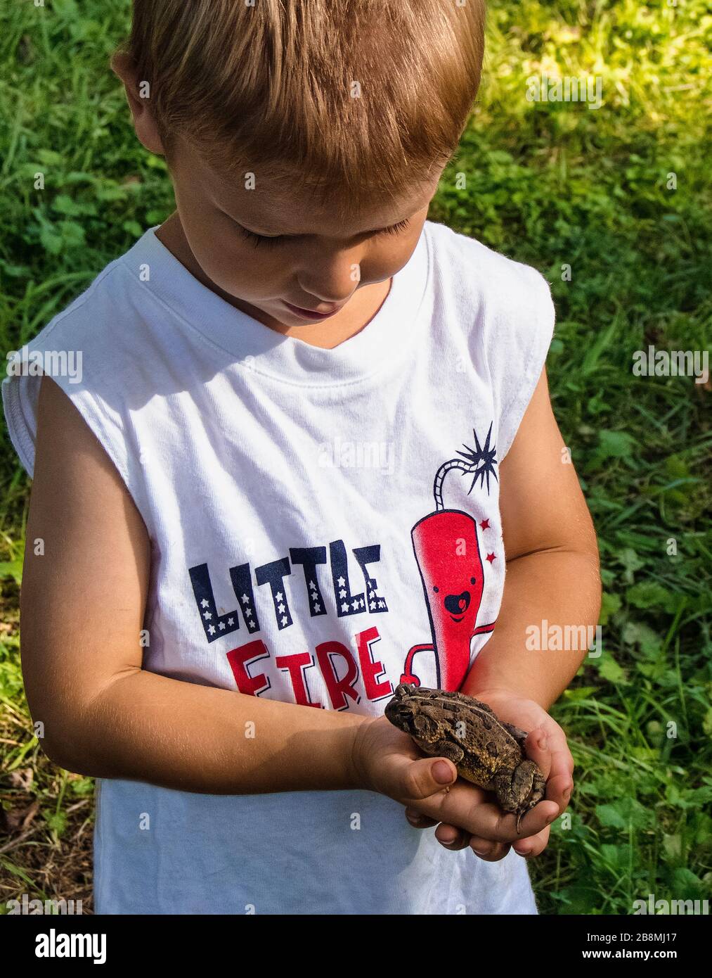Young boy holding frog Stock Photo