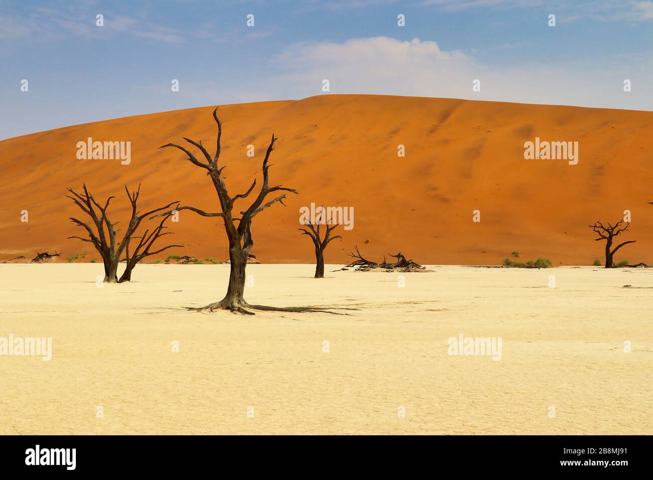 Dead Vlei (Namib-Naukluft Park) - Namibia Africa Stock Photo