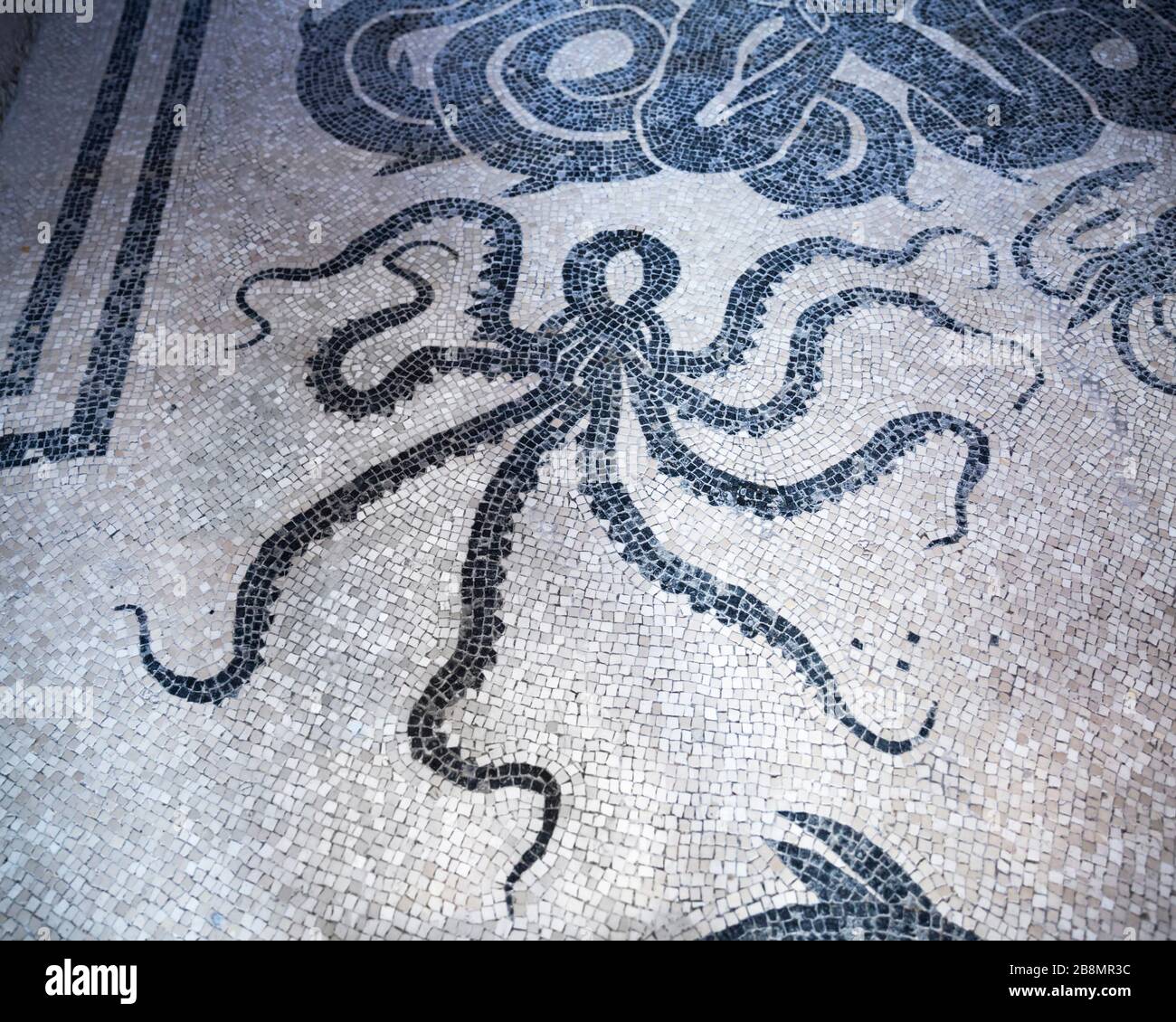 Ancient Roman mosaic floor in Herculaneum  depicting a stylize octopus, Campania, Italy. Stock Photo