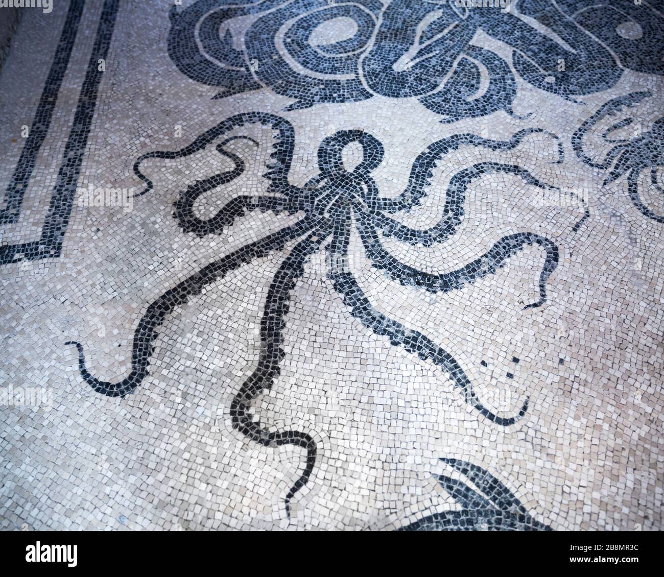 Ancient roman mosaic floor hi-res stock photography and images - Alamy image.