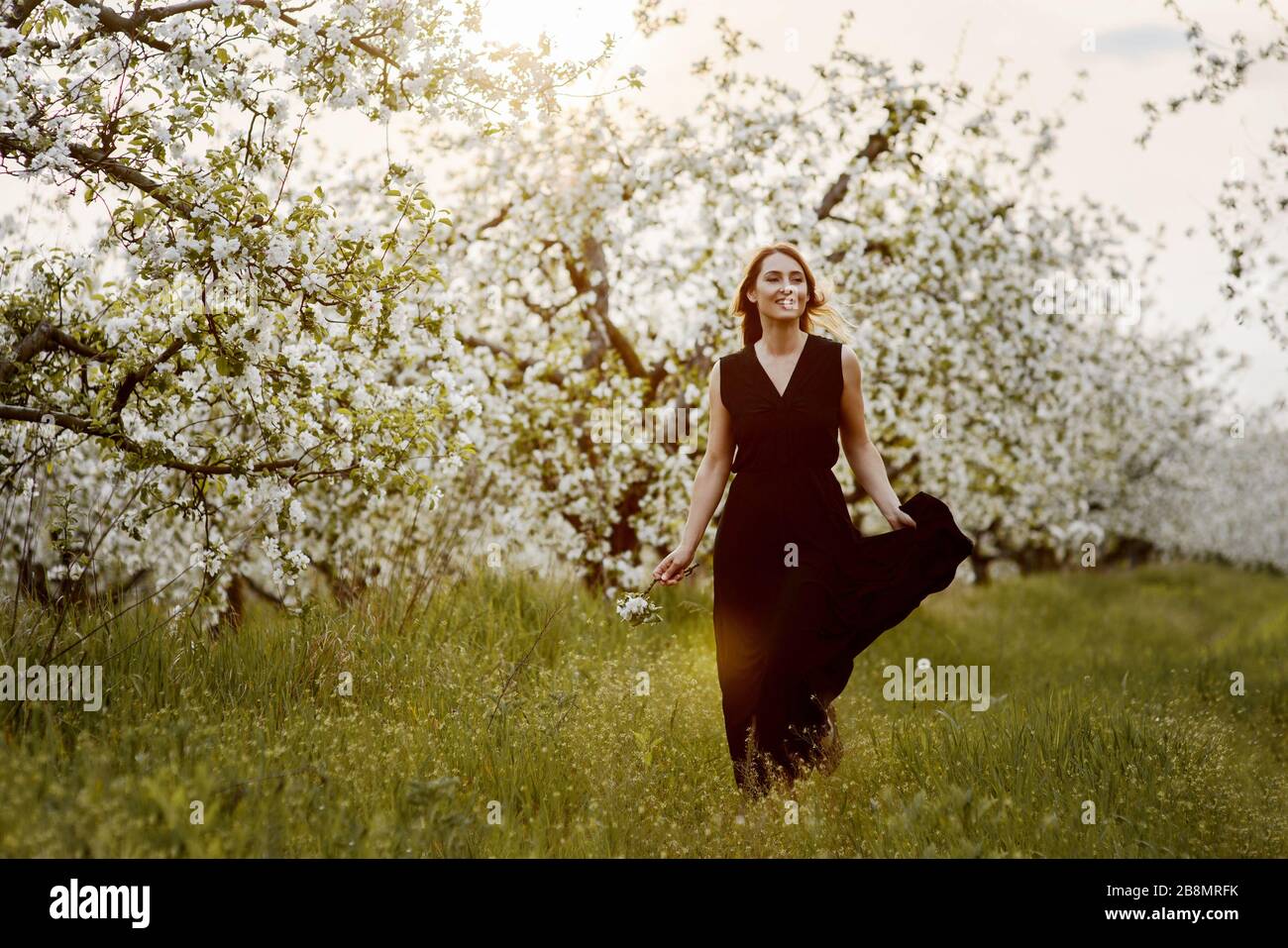 Beautiful smiling woman in black dress walking in the blooming apple garden. Stock Photo