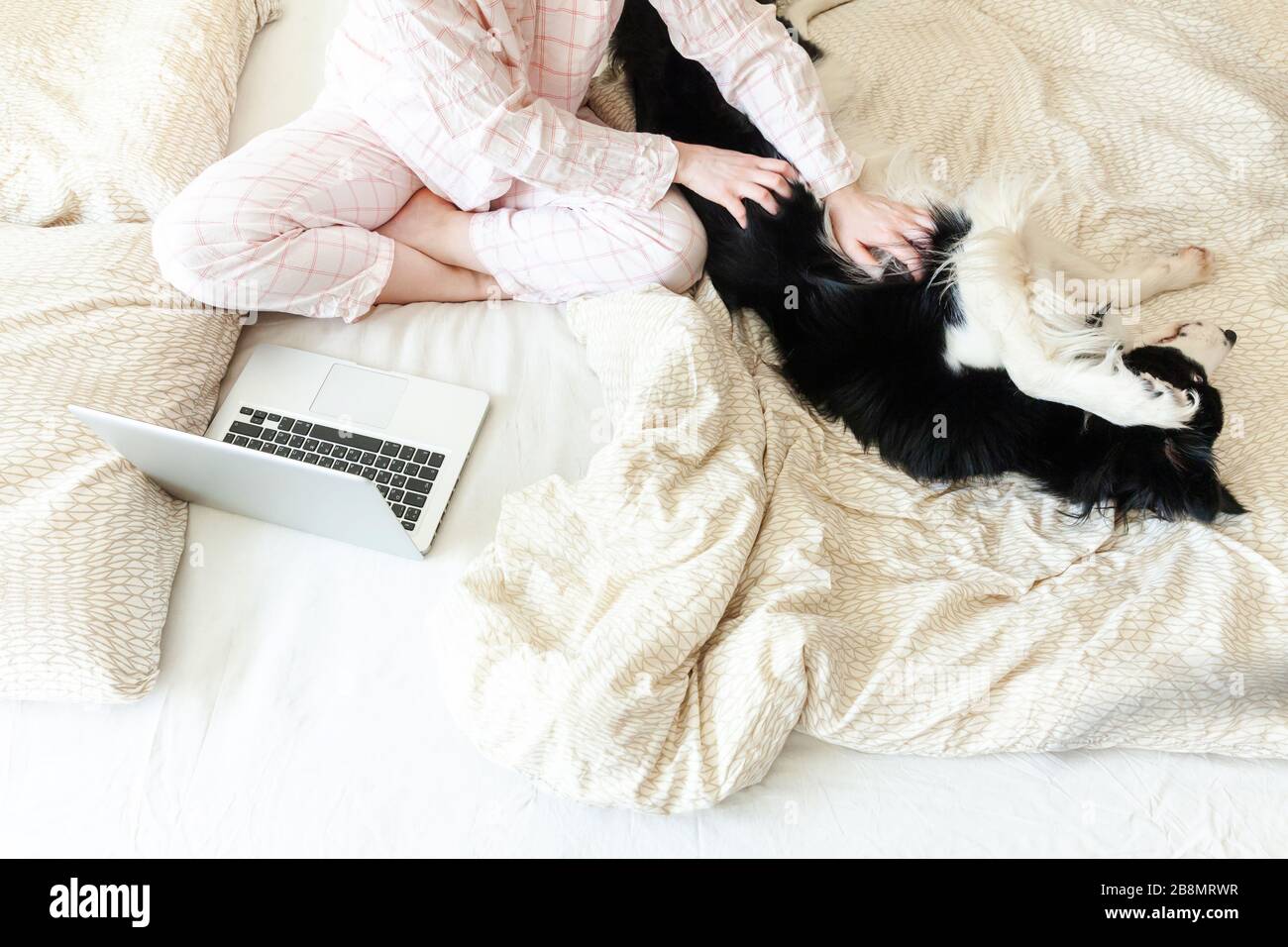Girl Studying Pet High Resolution Stock Photography and Images - Alamy