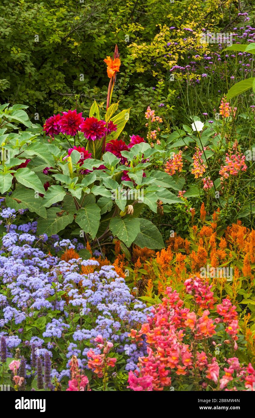 English flower beds hi-res stock photography and images - Alamy