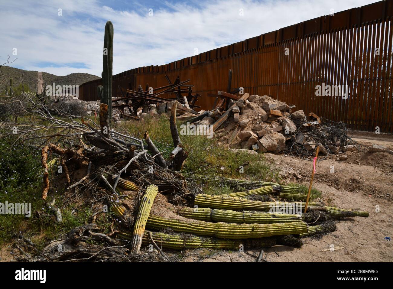 Construction of a metal border wall in Organ Pipe Cactus National Monument, Sonoran Desert, in