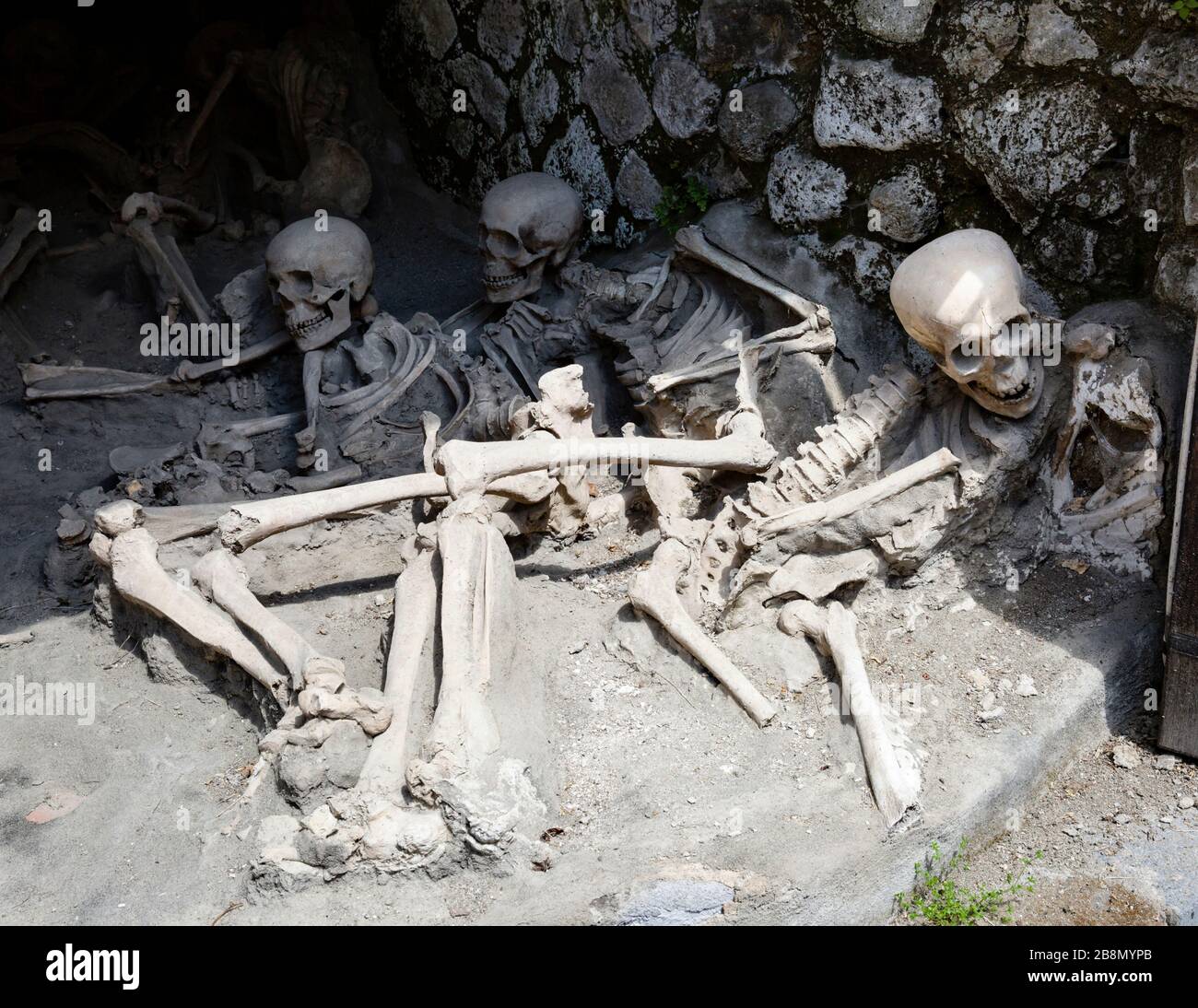 Skeletal remains of victims of the AD 79 Vesuvius eruption, Herculaneum, Campania, Italy. Stock Photo