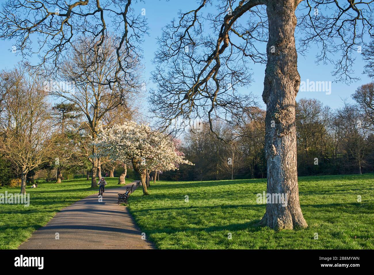 Springfield Park, Upper Clapton, North London UK, in springtime Stock Photo