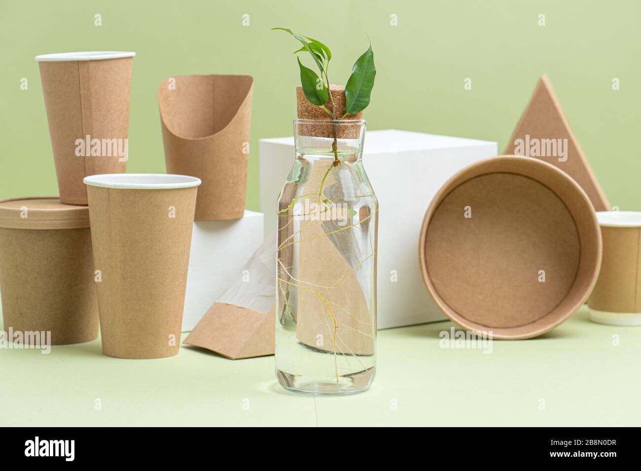 Cuillères En Bois Jetables Biodégradables - Lot De 100 | Écologique, Compostable, 10cm