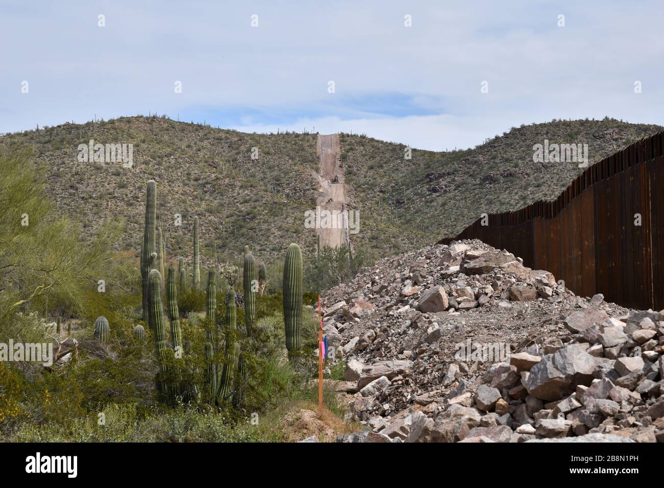 Construction of a metal border wall in Organ Pipe Cactus National Monument, Sonoran Desert, in