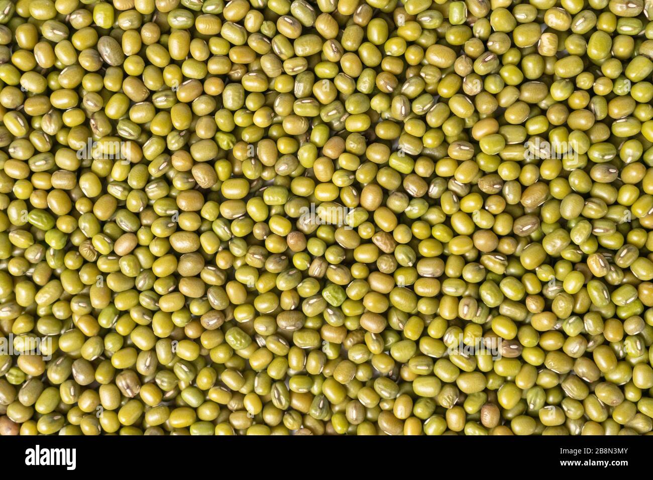 Green mung bean close-up. Abstract background, asian food Stock Photo