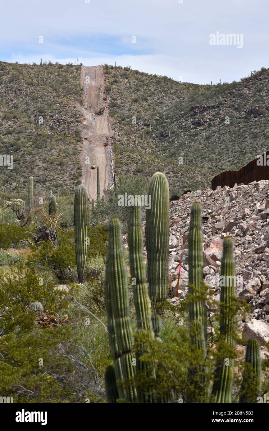 Construction of a metal border wall in Organ Pipe Cactus National Monument, Sonoran Desert, in