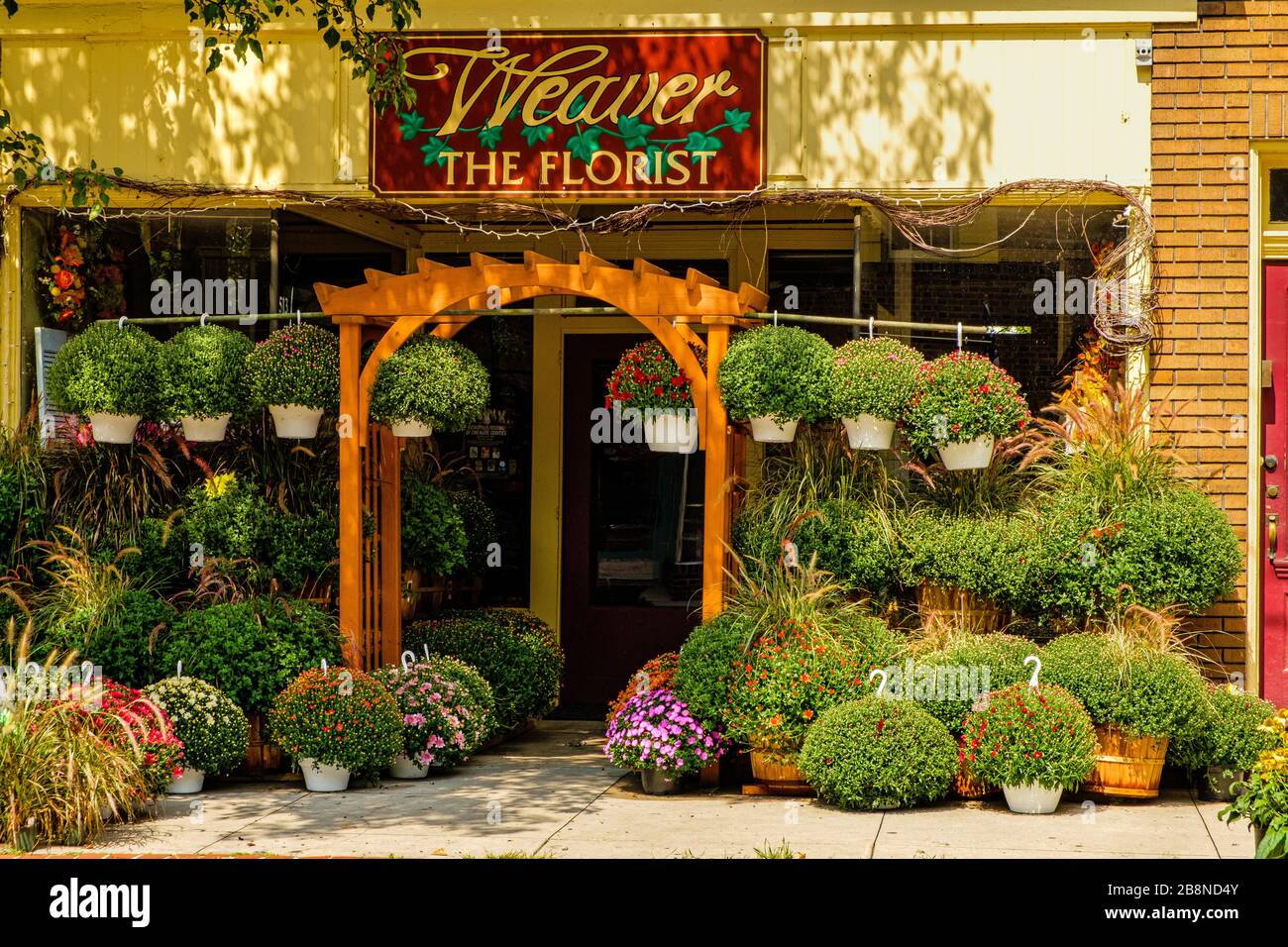 Garden center advert hires stock photography and images Alamy