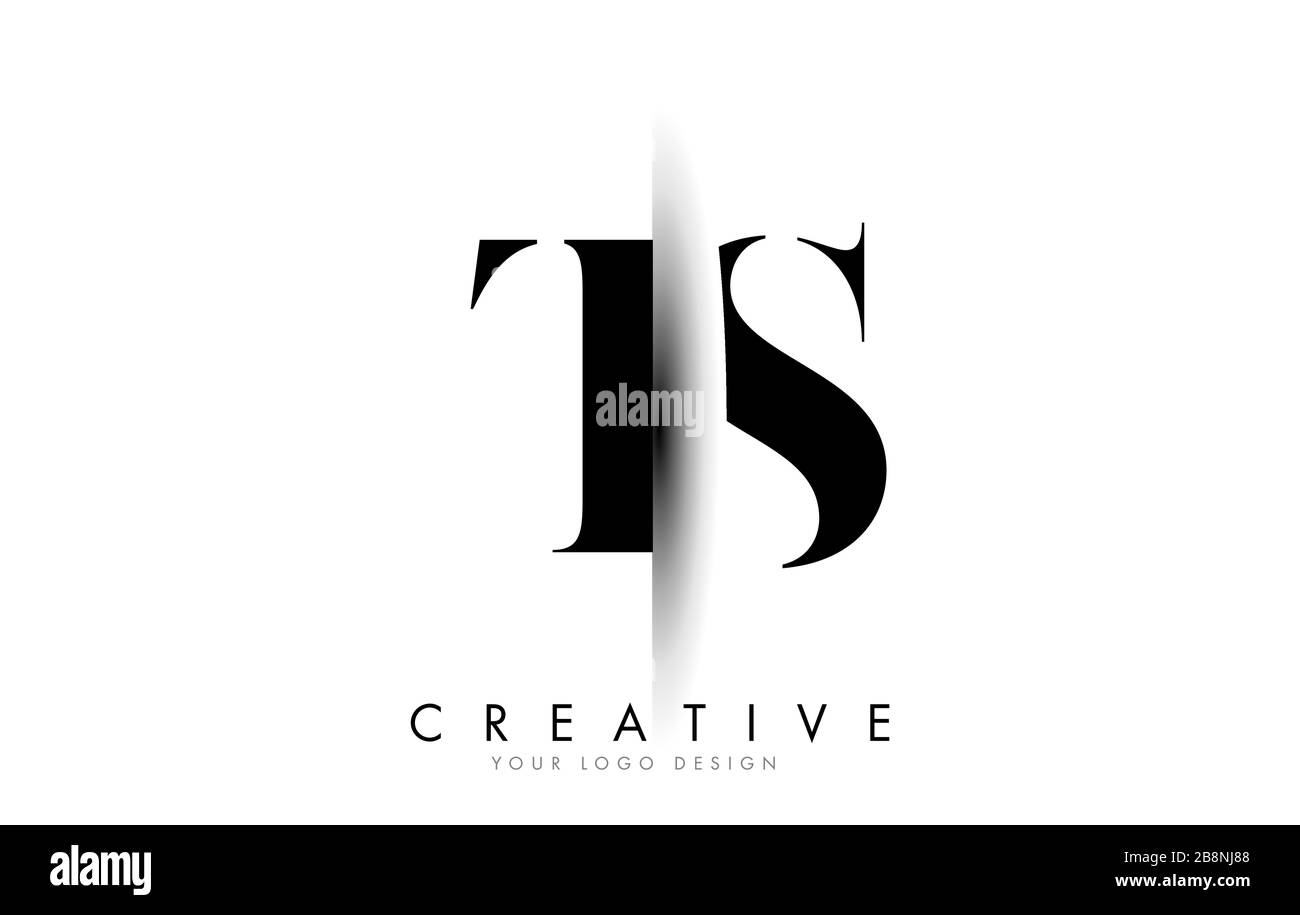TS T S Letter Logo Design with Creative Shadow Cut Vector Illustration Design. Stock Vector