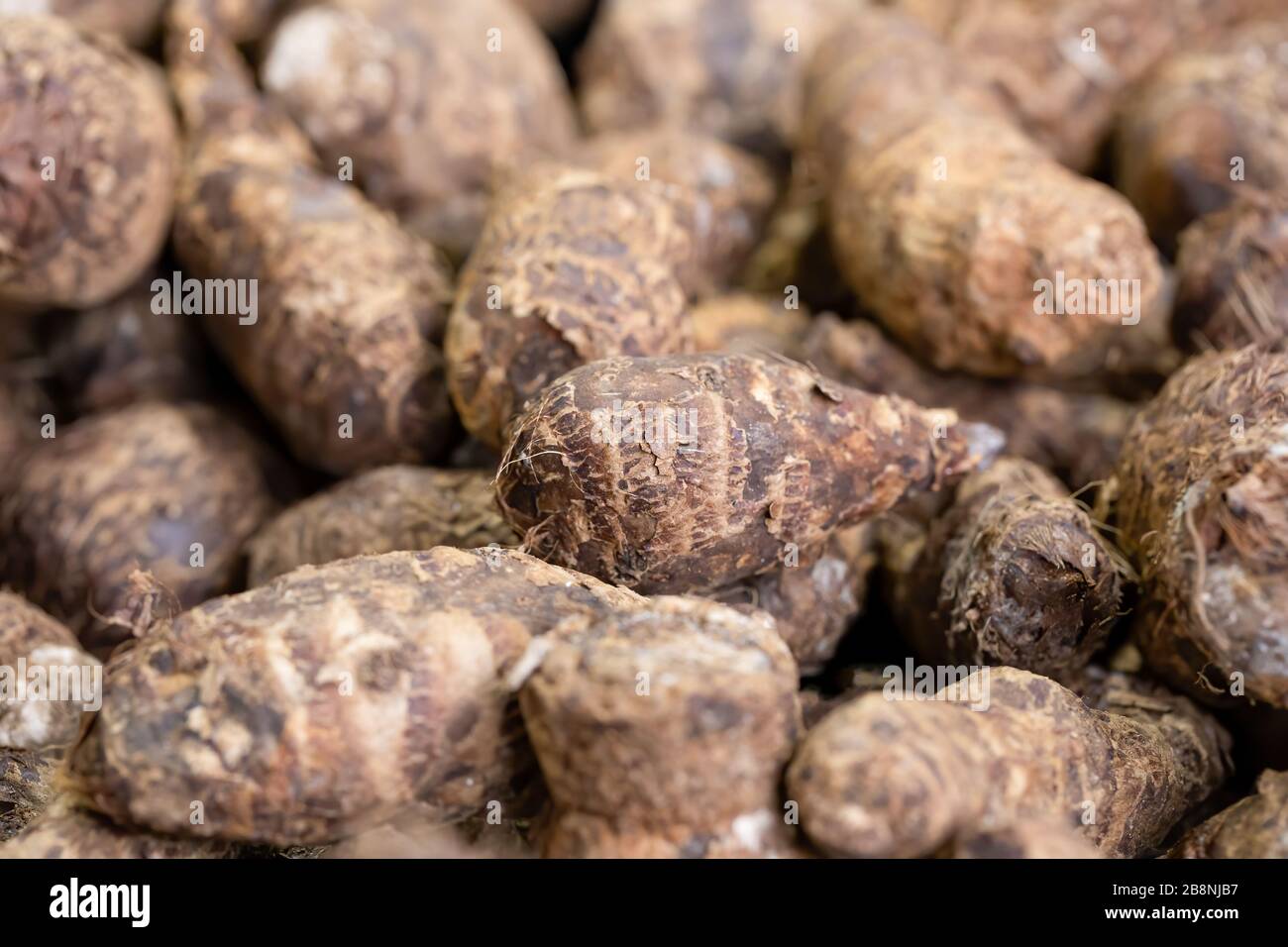 Pile of raw, unpeeled tropical Eddoe corms, Colocasia antiquorum, on a market stall in Ealing, West London Stock Photo