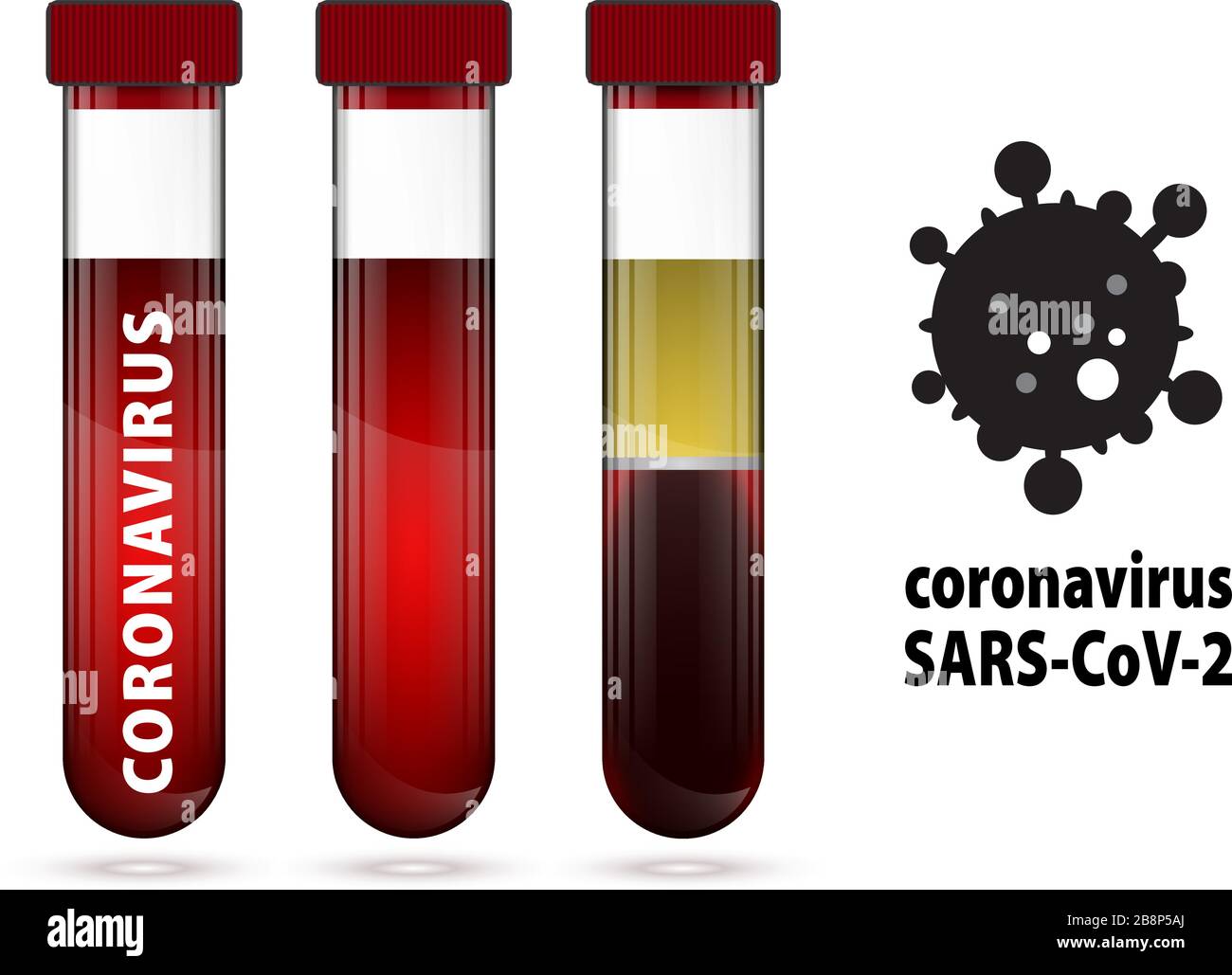 Three test tube with blood and serum illustration on the wite round and