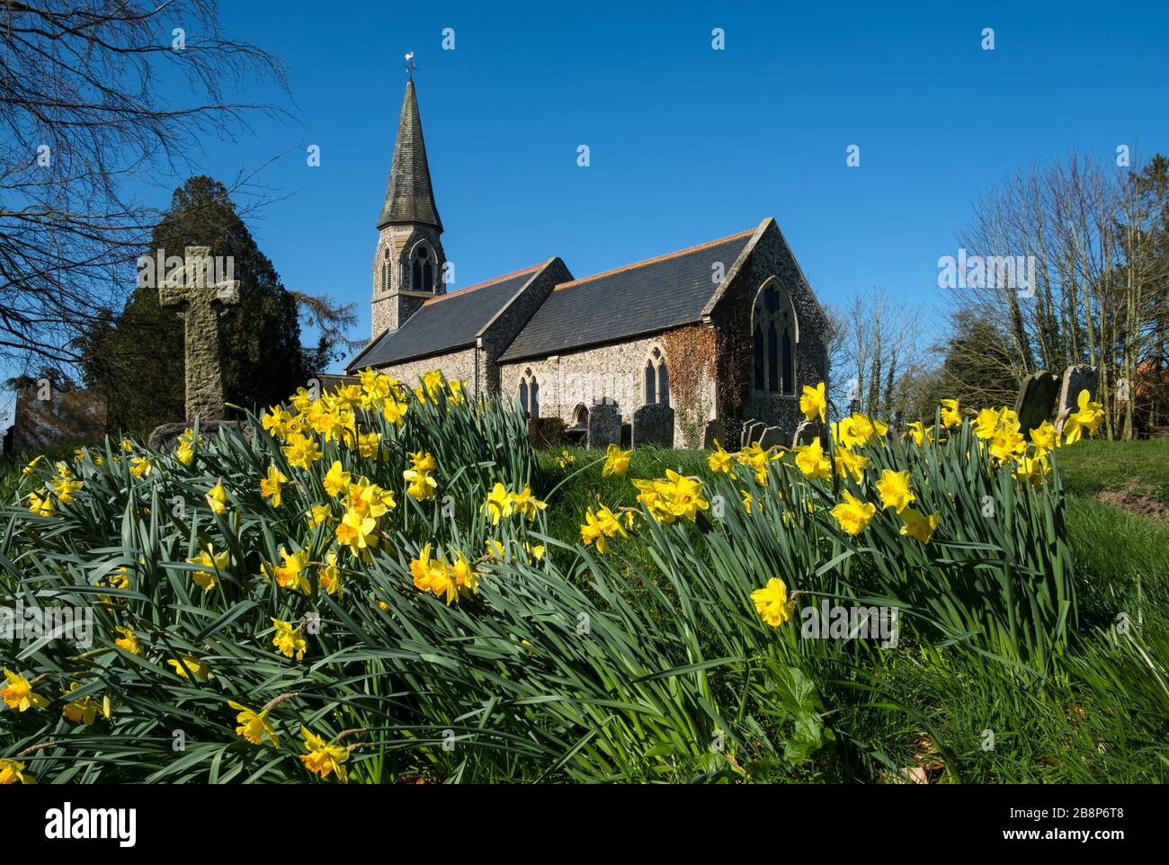 Spring time at Saint Mary's Church, Walpole, Suffolk, UK. Stock Photo